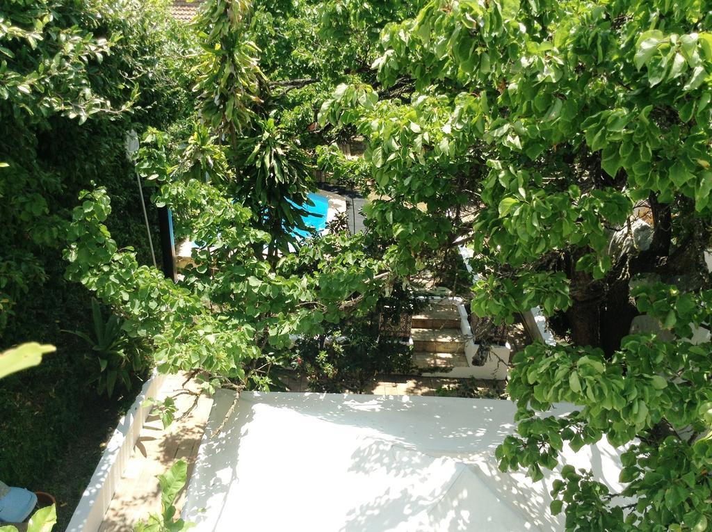 Casa Amarela Guesthouse Лагуш Номер фото